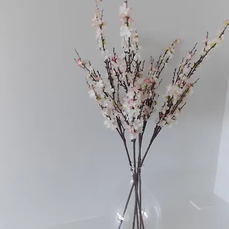 Hydro Palace 02.17 Appartamento *